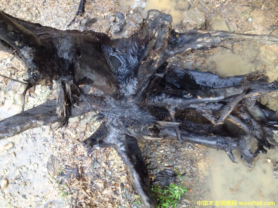 �c���鿴��z�ľ�Ŵ�DƬ