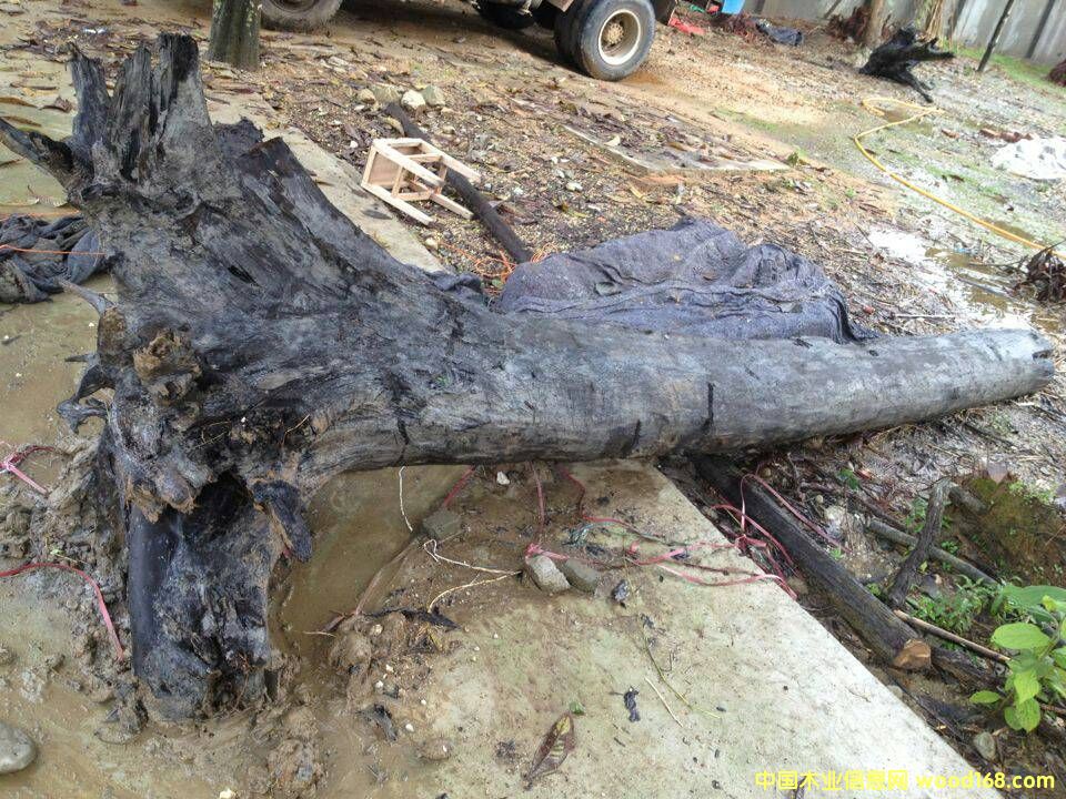 �c���鿴��z�ľ�Ŵ�DƬ