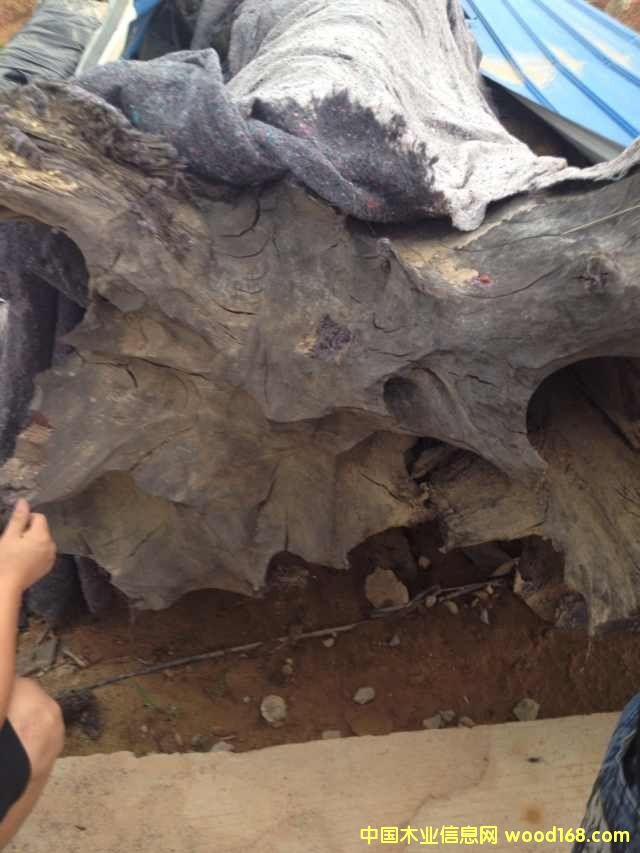 �c���鿴ꎳ�ľ�Ŵ�DƬ