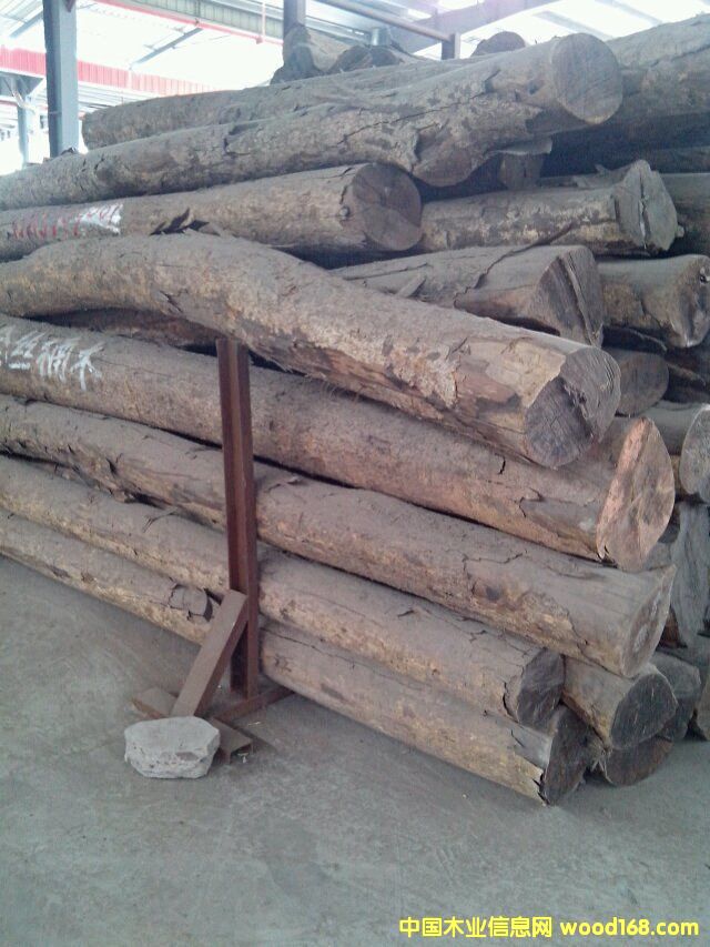 金絲楠木的詳細介紹