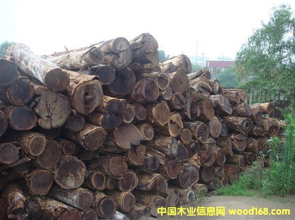 С�u�ᣨ���u�ᣩ��Ԕ����B