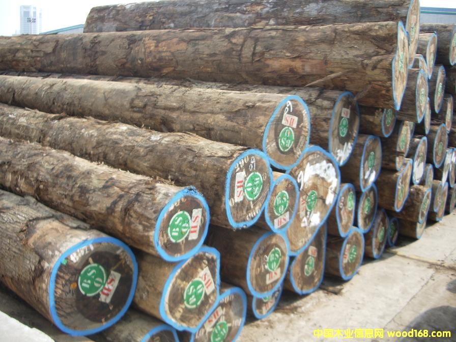 �t���棨���޻��棩��Ԕ����B