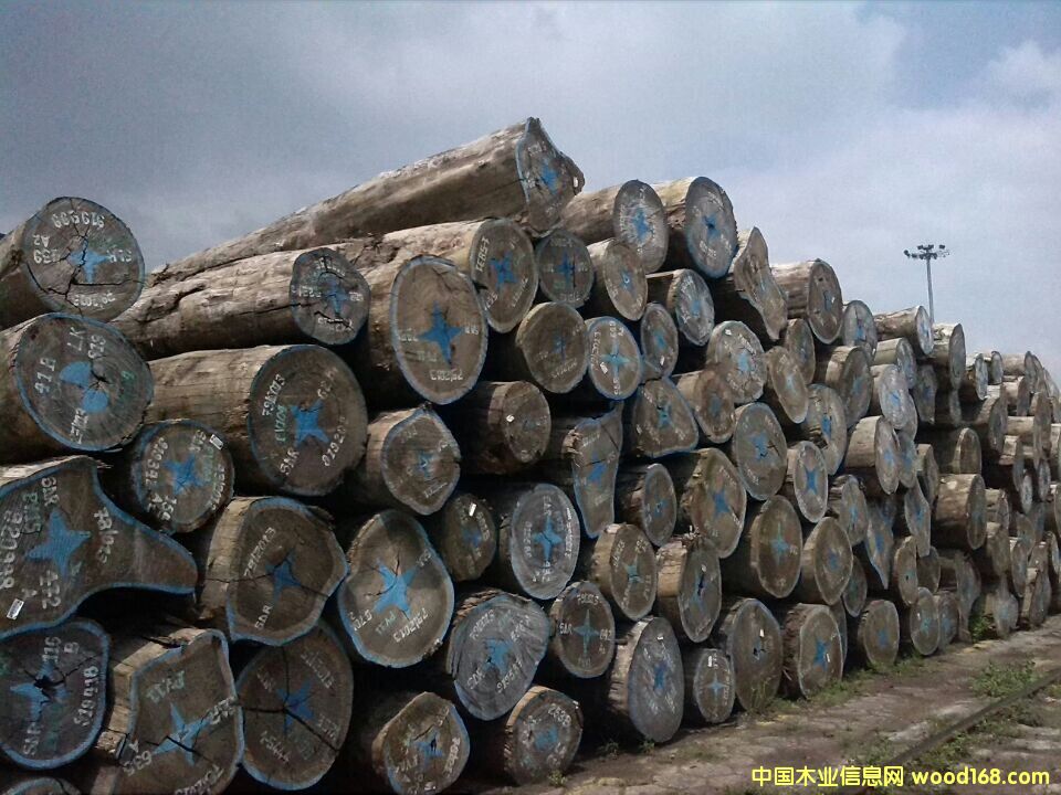 紅花梨的詳細(xì)介紹