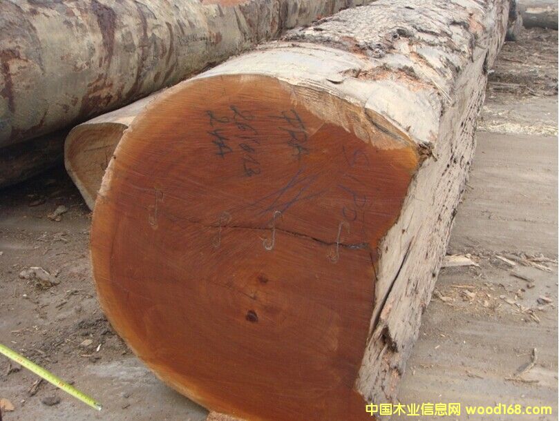 西浦的詳細(xì)介紹