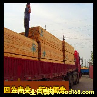 �c���鿴�����m��(y��u)�|(zh��)ݗ���ɷŴ�DƬ