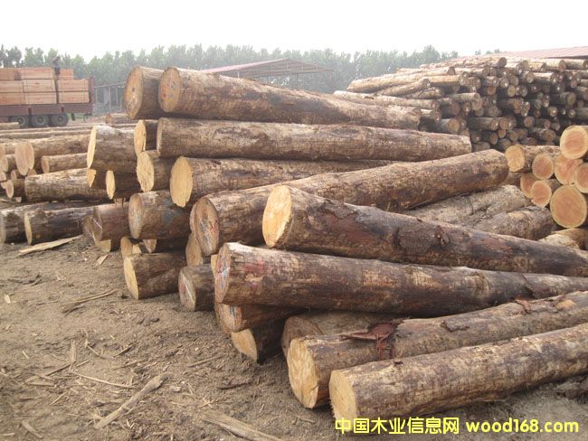 澳松的詳細(xì)介紹