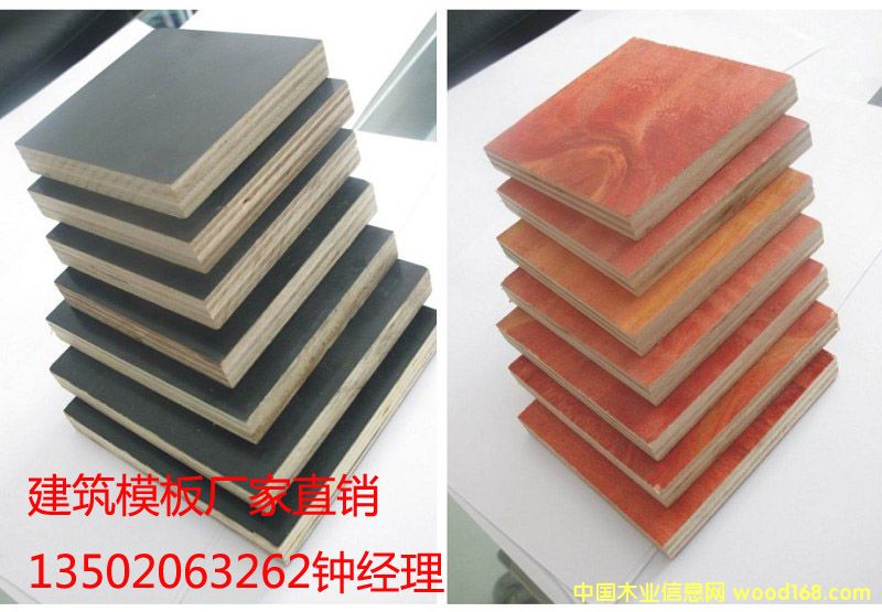 ����(zh��ng)С�t���Ԕ��(x��)��B