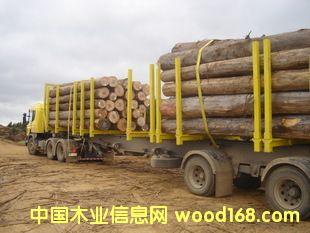 �c(di��n)���鿴��������֦�c���޵���֦�ǂ�(g��)�M(j��n)�ڷ���һЩ�M(j��n)�ڈ�(b��o)�P(gu��n)�����Ŵ�DƬ