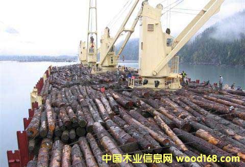 �Ϻ�������H�M(j��n)���ڴ�������(w��)��˾�������P(gu��n)ͨ�P(gu��n)�I(y��)��(w��)