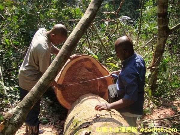 �c(di��n)���鿴����M(j��n)���Ϸǵ�̴ľ��Ҫ��Щ���C�����M(j��n)�ڷŴ�DƬ