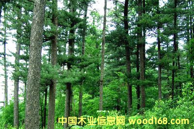 �c(di��n)���鿴ֱ�ӏ�����(gu��)�M(j��n)�ڙ���ľ���Ϻ����@�̙z��Ҫ��Щ�Ŵ�DƬ