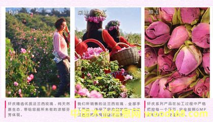 �c(di��n)���鿴�M(j��n)���r����Ҫ��Щ���C���P(gu��n)����ô��ȡ�Ϻ��C(j��)��(ch��ng)��(b��o)�P(gu��n)��Ԕ��(x��)�Y��