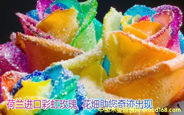 �c(di��n)���鿴�Ϻ������(gu��)�H�M(j��n)���ڈ�(b��o)�P(gu��n)������˾�Ϻ��C(j��)��(ch��ng)��(b��o)���܈�(b��o)�P(gu��n)������Ԕ��(x��)�Y��