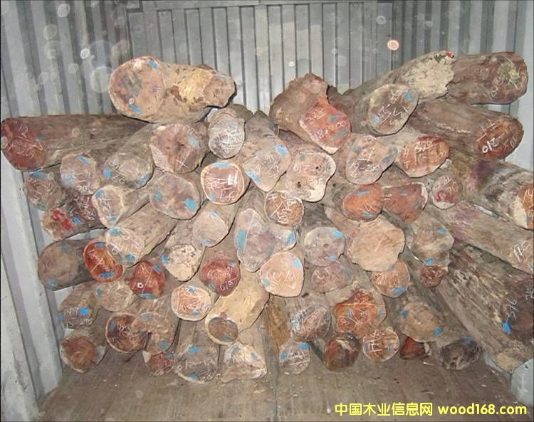 �c(di��n)���鿴��ô�k��ϡ��ľ���M(j��n)���C����Ҫ�ķN�Y�ϷŴ�DƬ