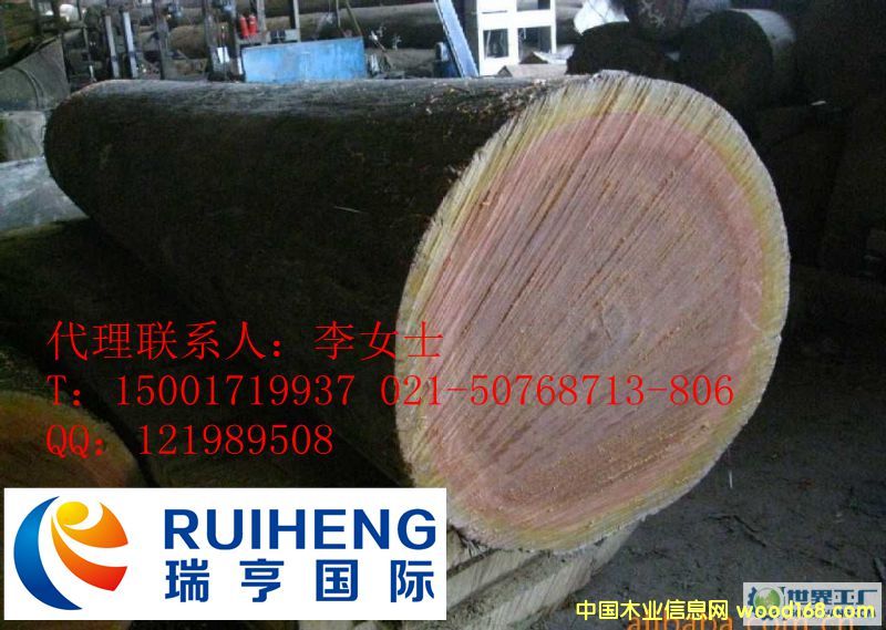 �c(di��n)���鿴�M(j��n)��ϡ��ľ�ĵ��������Q��Ҫ�䰸���Ϻ��C(j��)��(ch��ng)��(b��o)�P(gu��n)�е�Ԕ��(x��)�Y��