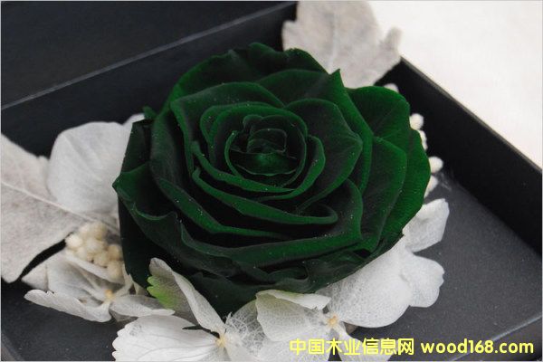 �c(di��n)���鿴�����M(j��n)�ڈ�(b��o)�P(gu��n)��Ҫ��Щ���C���Y���Ϻ��C(j��)��(ch��ng)��(b��o)�P(gu��n)�е�Ԕ��(x��)�Y��