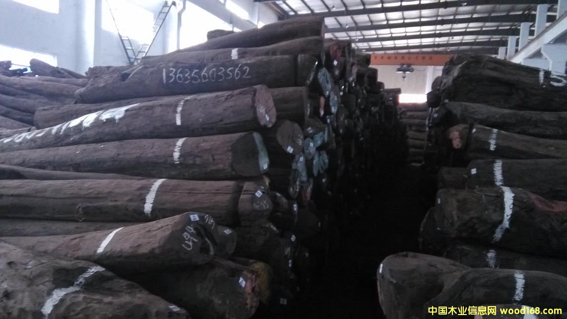 大葉紫檀的詳細(xì)介紹