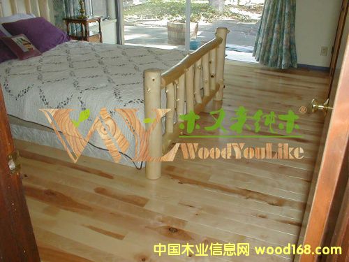 ľ�ց��ľ��(sh��)ľ�ذ�