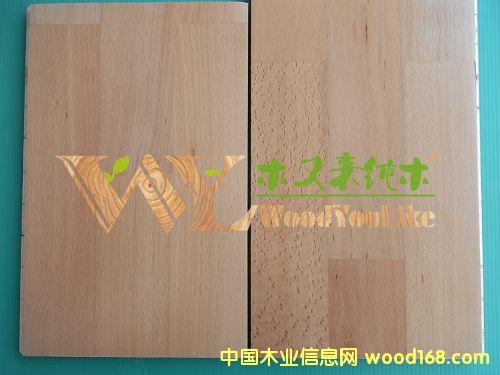 ľ�ց��ľ��(sh��)ľ�ذ�