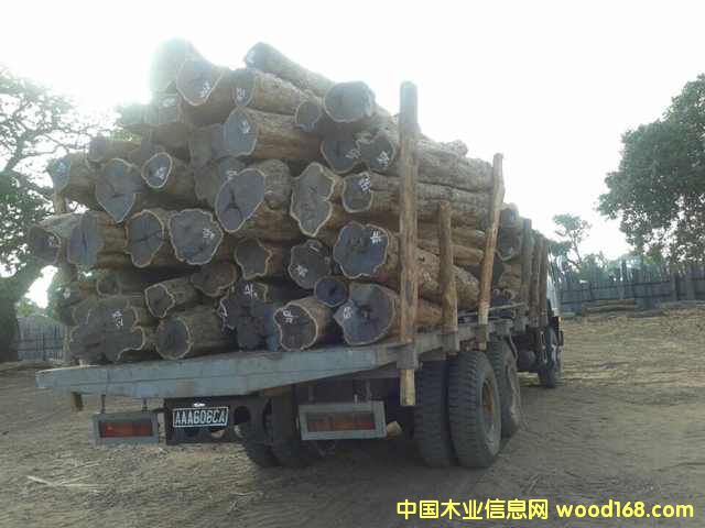 �Ϲ�̴���|�Ǻ��S̴����ľ��Ԕ��(x��)��B