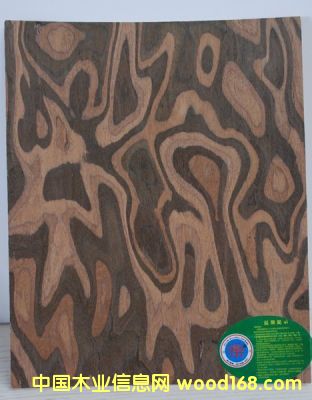 �N����Ԕ��(x��)��B