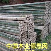 ��������A��