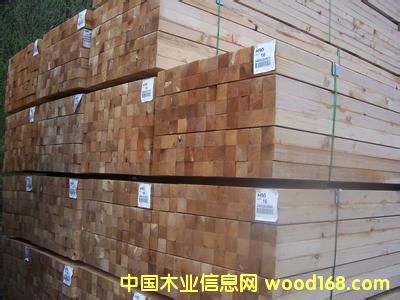 �Fɼ��Ԕ����B