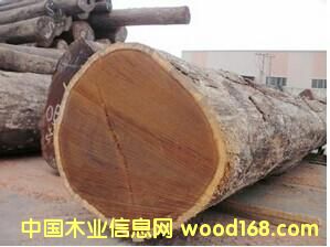 ����(y��ng)��̴����~�S̴��ԭľ