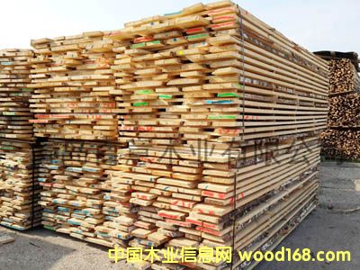 ��ľë߅���Ԕ����B