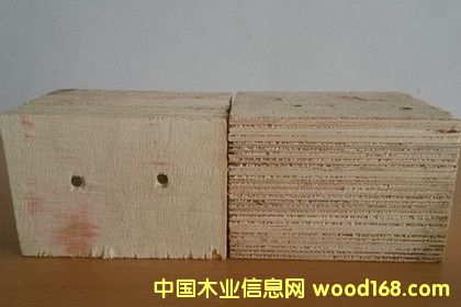 ����ľ�бP��ȫɰ����z�ϰ����Ӱ��_��