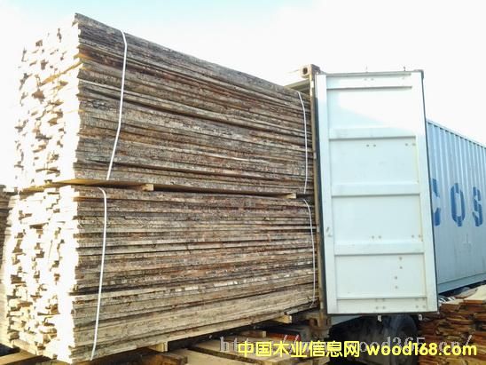 �c(di��n)���鿴��ľ��ķŴ�DƬ