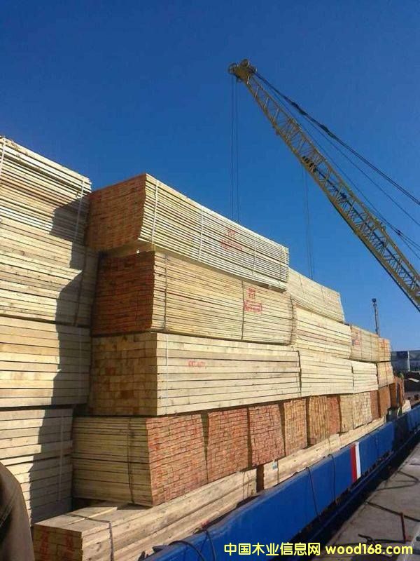 �����ɰ�ĵ�Ԕ����B