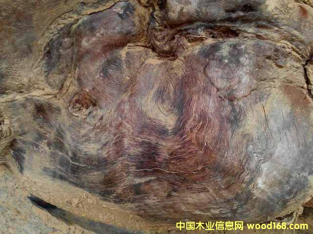 �c(di��n)���鿴�S����ľ�Ŵ�DƬ