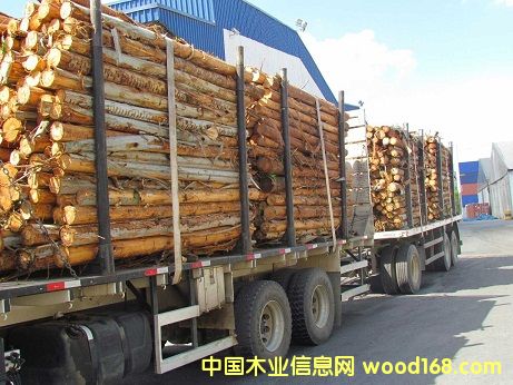 �M(j��n)�����(sh��)�������ޣ�