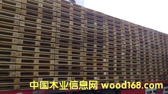 ���֚W���бP��Ԕ����B