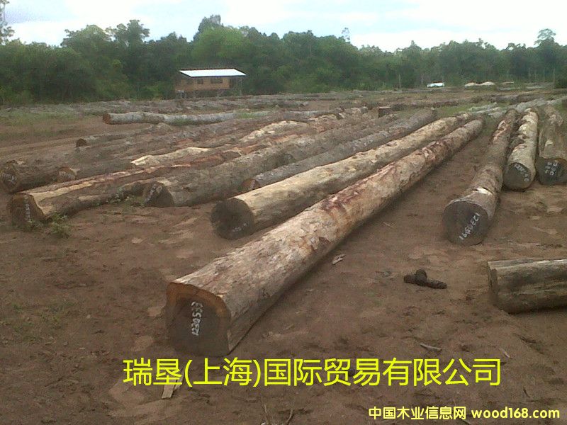 ������֦��Ԕ����B