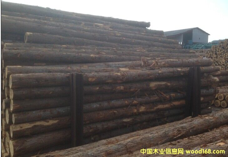 ��ɼԭľ��Ԕ��(x��)��B