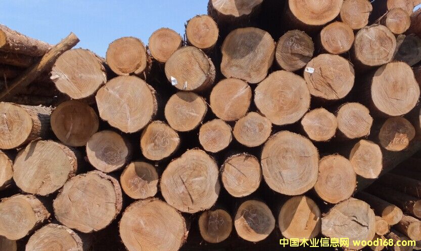 �uľ��Ԕ��(x��)��B