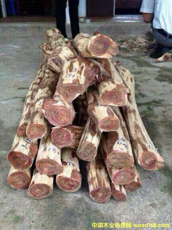 Խ���S�����Ԕ��(x��)��B