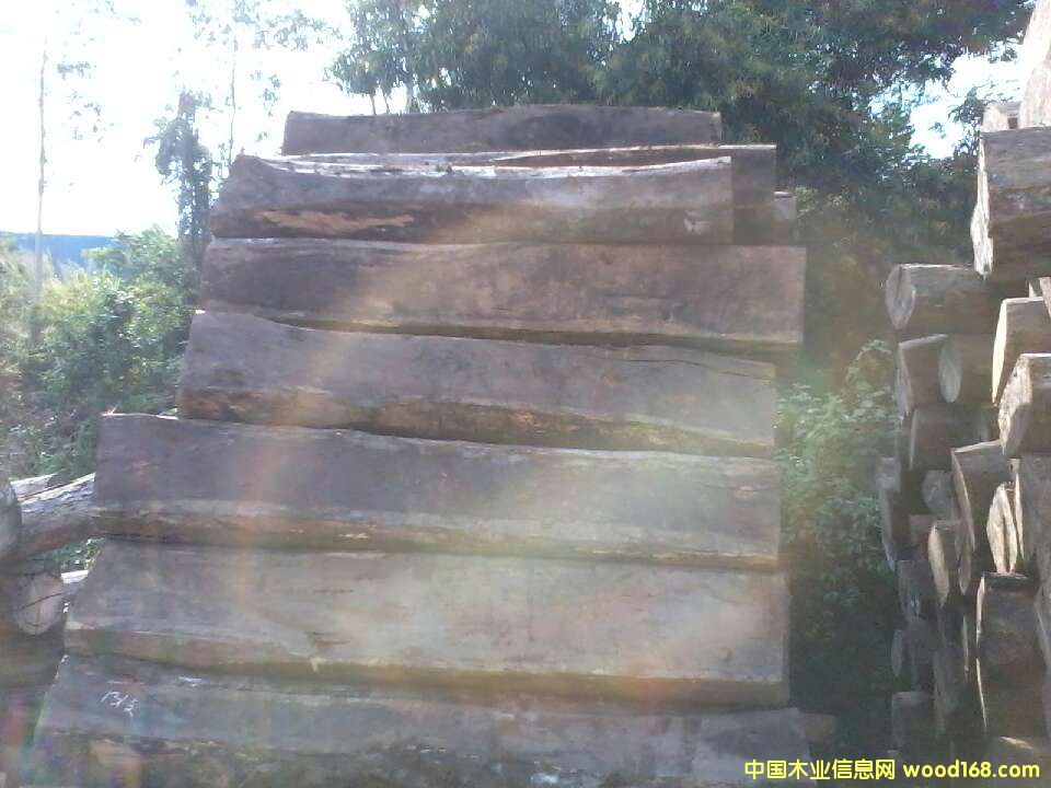 �����̴��Ԕ��(x��)��B