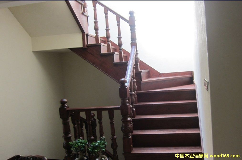 �c(di��n)���鿴��(sh��)ľ���ݷŴ�DƬ