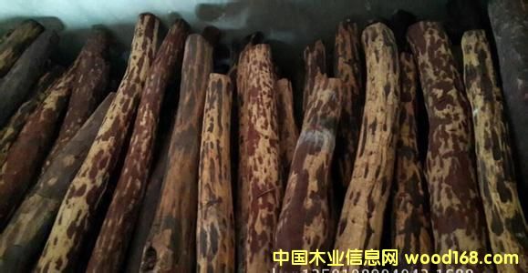 ����С�~��̴������