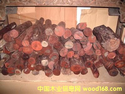 ӡ��С�~��̴ľ��