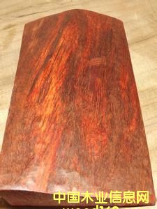 ӡ��С�~��̴�ְѼ��ϵ�Ԕ��(x��)��B