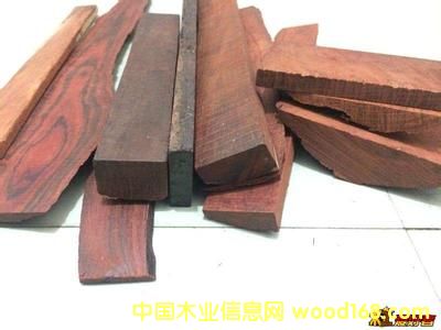 С�~��̴������ �F(xi��n)؛����(y��ng)��Ԕ��(x��)��B