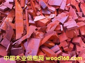 �M(m��n)����С�~��̴߅���� ���l(f��)�r(ji��)���Ԕ��(x��)��B