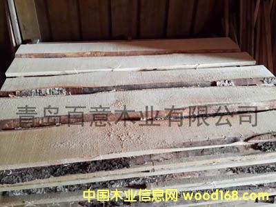 �c���鿴��ľ��ķŴ�DƬ