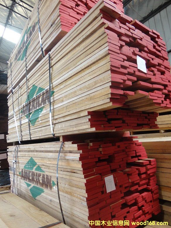 ���������Ԕ��(x��)��B