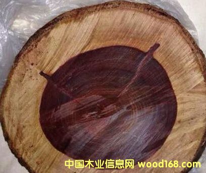 �c(di��n)���鿴����Ѫ̴  ٝ�ȁ�Ѫ̴�Ŵ�DƬ