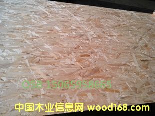 �c���鿴������(y��u)�|(zh��)�����ٻ���Ŵ�DƬ